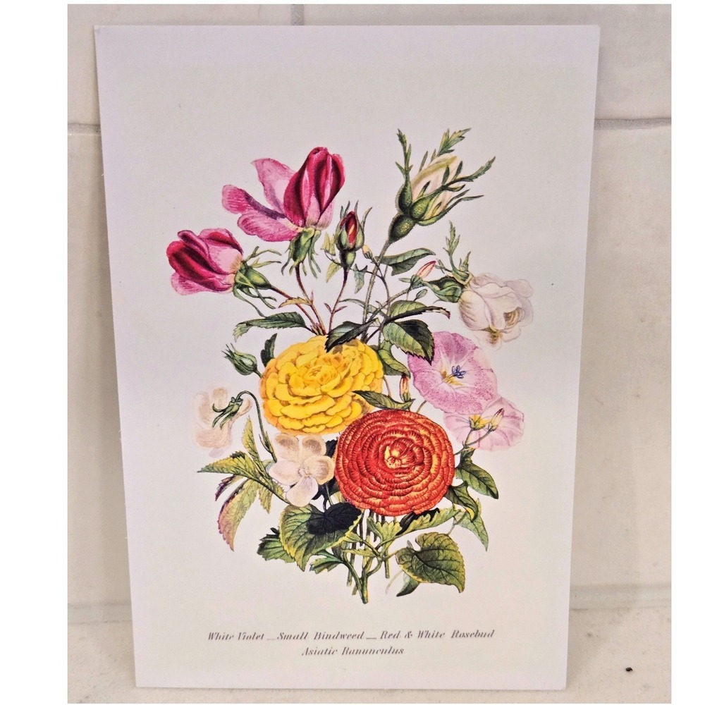 Vintage Botanical Floral Art Print Postcard Rosebud Ranunculus Violet 4x6
